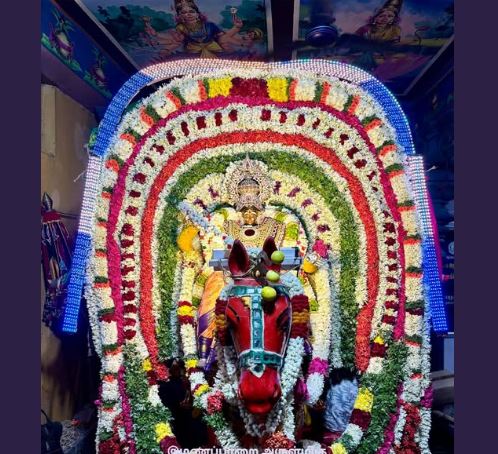 மணப்பாறை : வேப்பிலை மாரியம்மன் கோயிலில் வேடபரி உற்சவம் கோலாகலம்..! 4 3